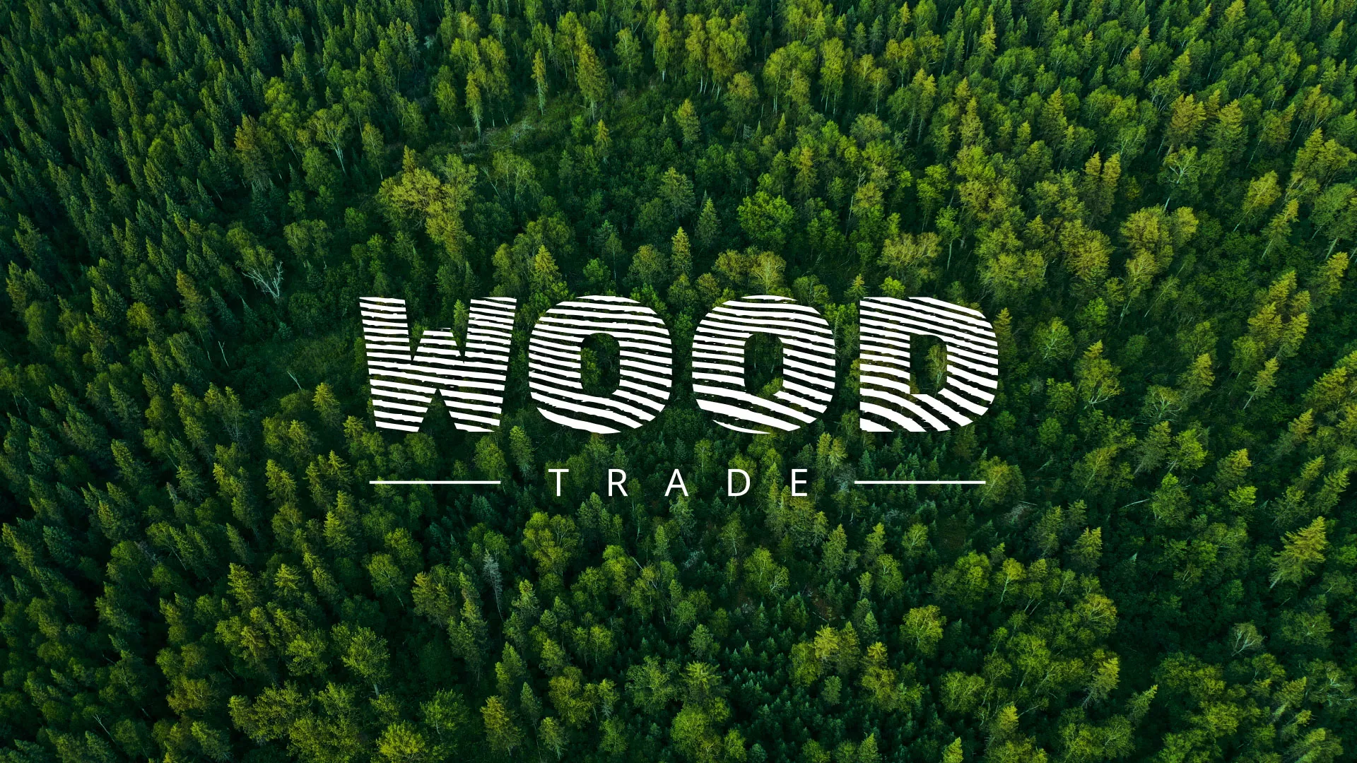 Разработка интернет-магазина компании «Wood Trade» в Козельске